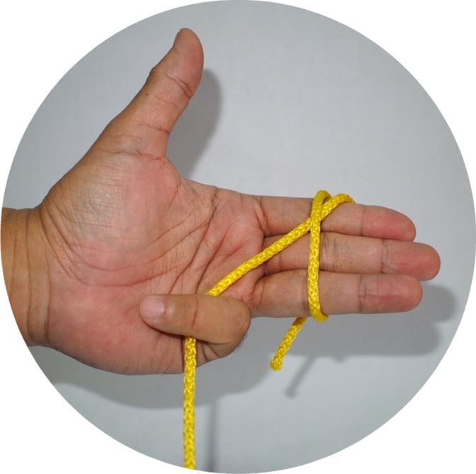 Simpul Woogle 2